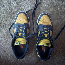 Nike Dunk Michigan 