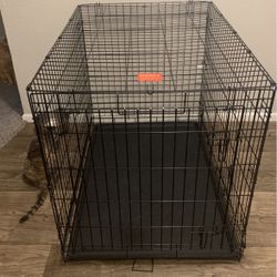 Large Dog Kennel 