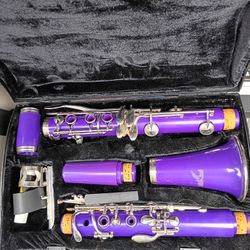 Clarinet With Plastic Reed 