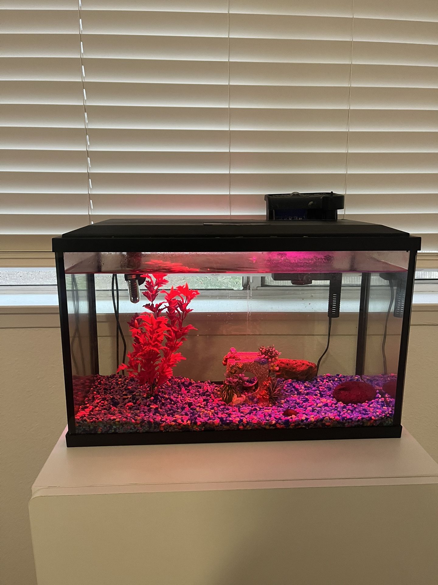 10 Gallon Fish Tank With Supplies