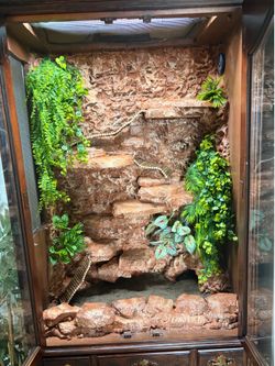 Custom reptile enclosure