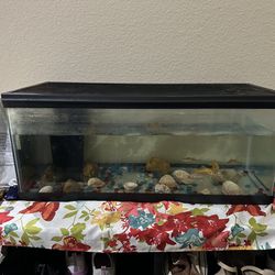 Fish tank -complete Set
