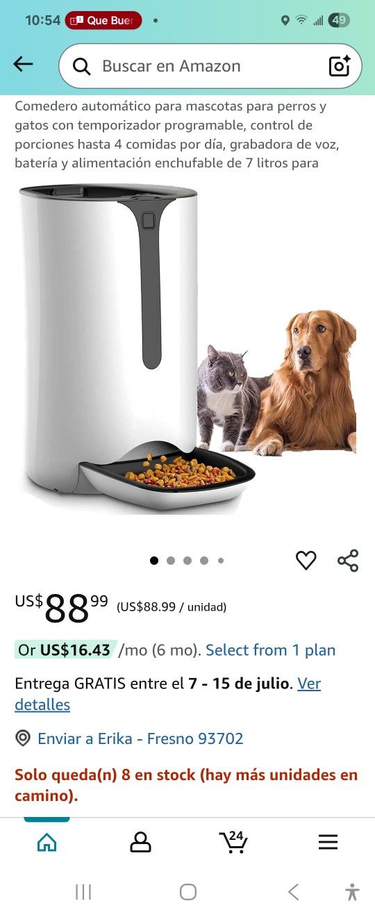 Dog