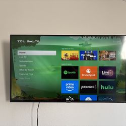 Roku 48” TV