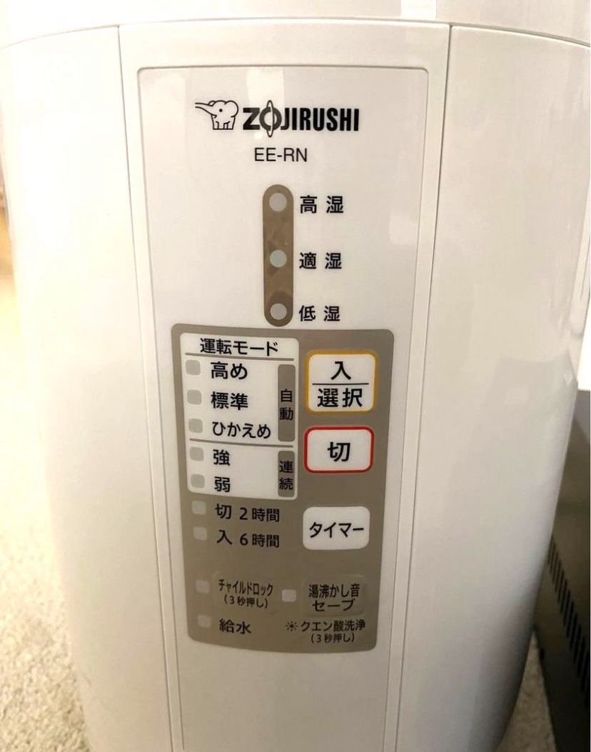 $80 Steam Humidifier