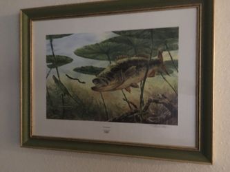 Lithograph framed fish artwork