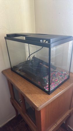 Pesera / aquarium