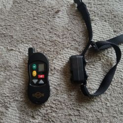 Dog Training Collar