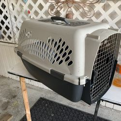 Pet Taxi 