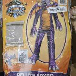 New Skylanders Costume