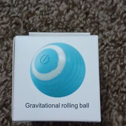 Cat Toy 