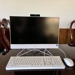 HP All-In-One Desktop Computer 