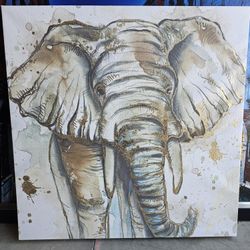 Beautiful Elephant Picture