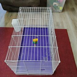 Rabbit  And Guinea Pig Cage For Sale $25