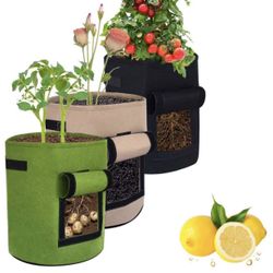Grow Bags 