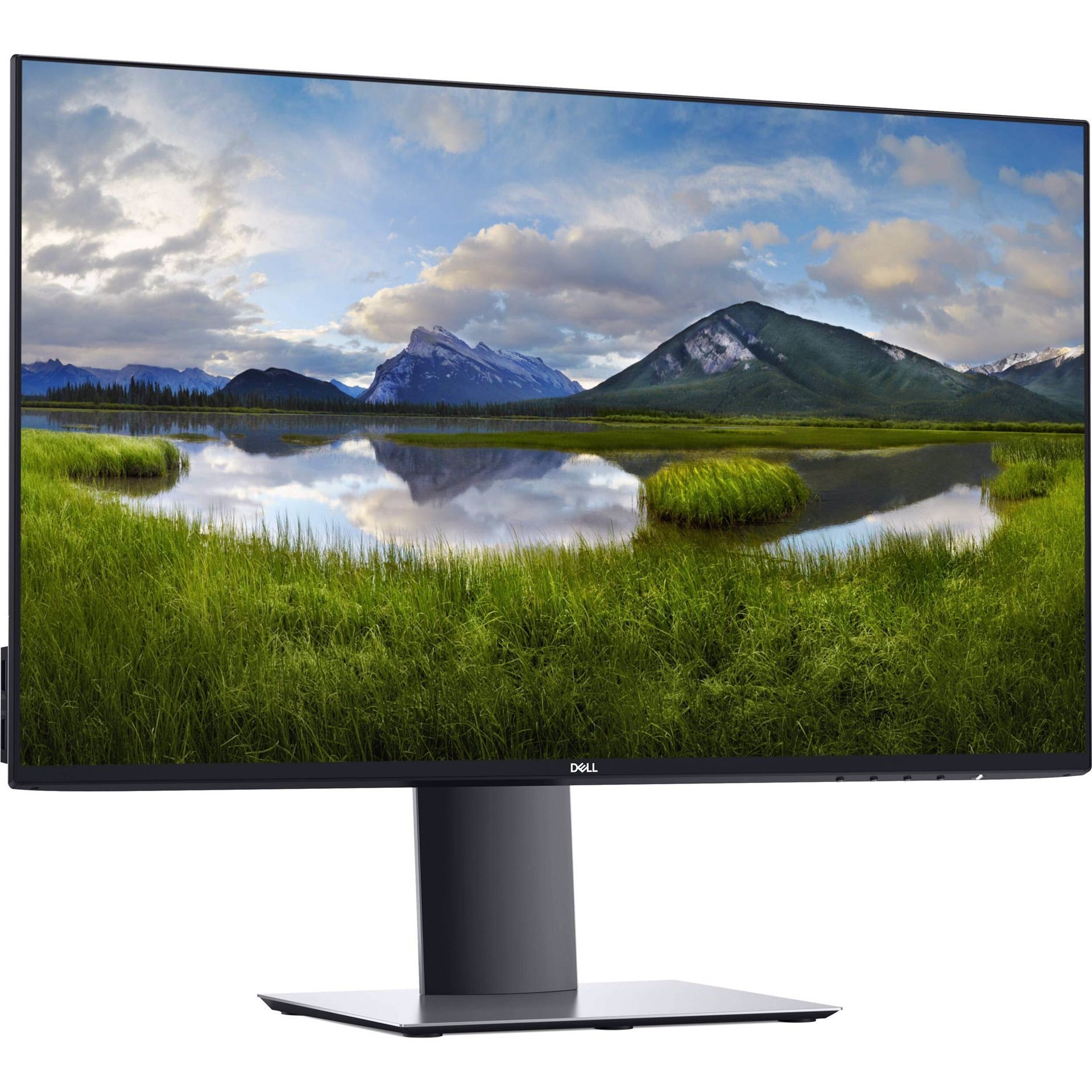 UltraSharp 24 Inch Screen Monitor (DELL U2419H)