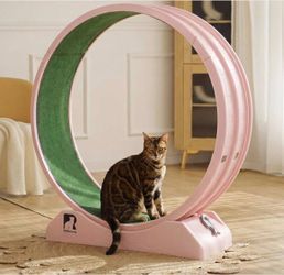 Cat Exercise Wheel