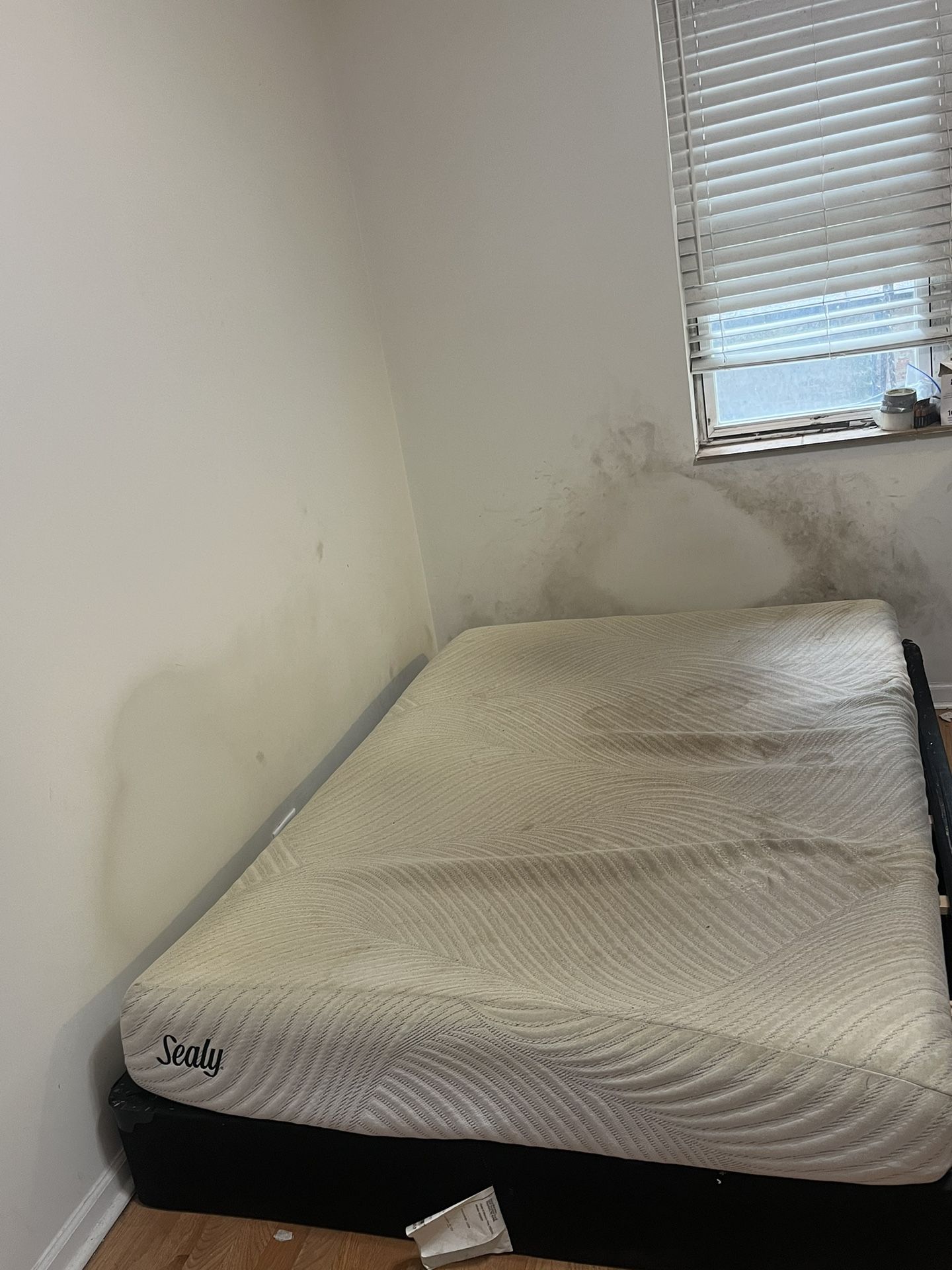 Sealy Used Mattress + Box For sale
