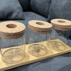 Modern "Window Garden" Desktop Plant Terrarium (New in Box)