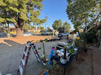 Multi-Family Yard Sale 6/20-6/21