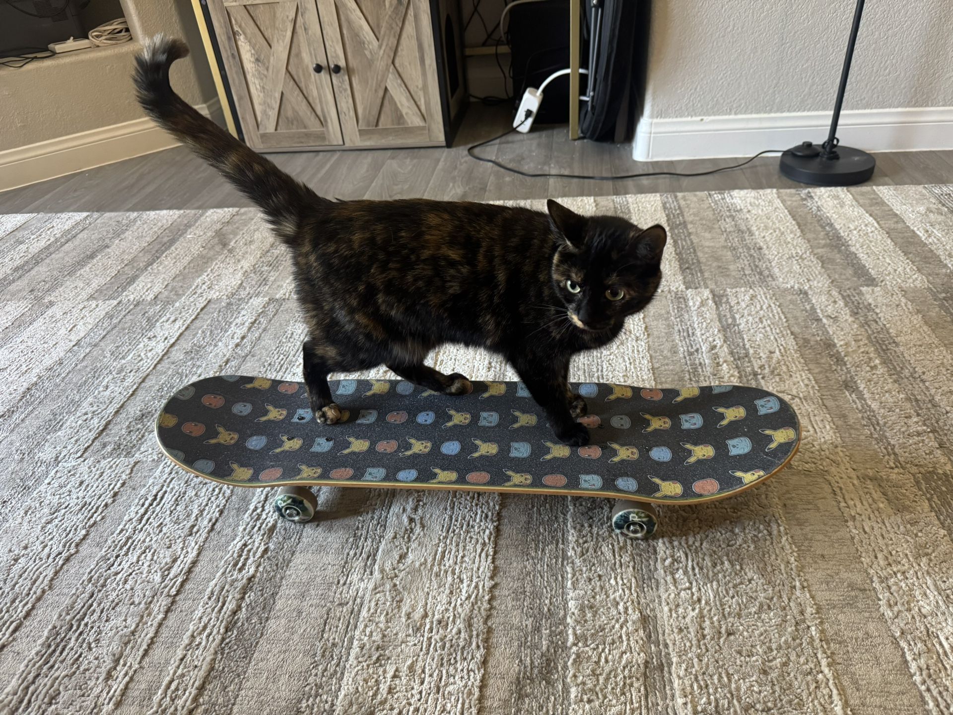 Complete Skateboard