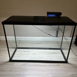20 Gallon Tank