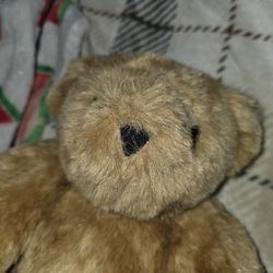 Vermont AUTHENTIC BEAR