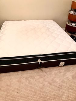Clean king bed and box spring, bought 2024. No stains etc