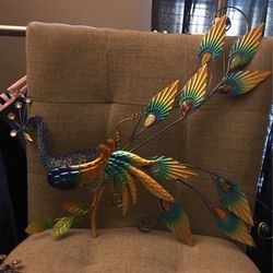 Beautiful Set Of Peacocks 