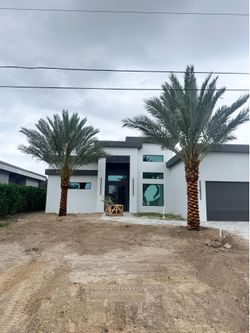 Medjool date palm trees