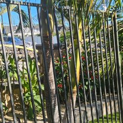 Aluminium Fence /Cash Only 