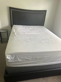 Black Queen Upholstered Bed