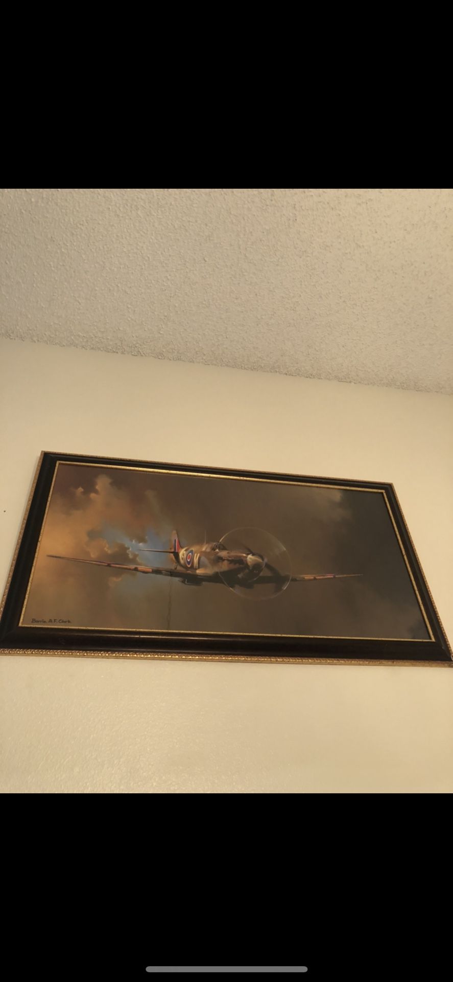 Airplane Framed Picture 