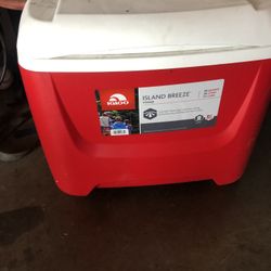 Igloo Cooler 