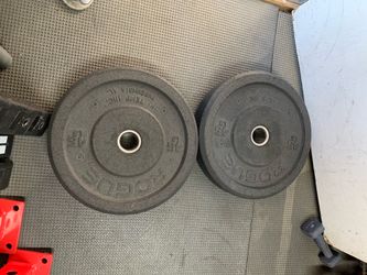 Rogue 45lbs Pair