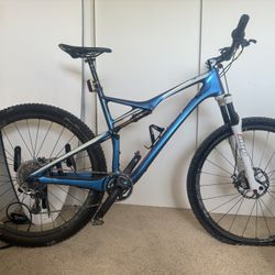 Carbon Fiber Specialized S-Works Epic WC Edition XL