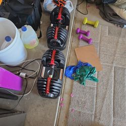 Bow Flex Adjustable Weights