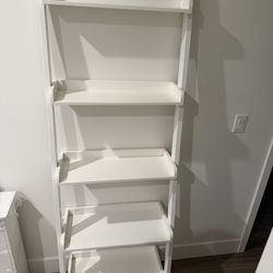 Ladder Bookshelf