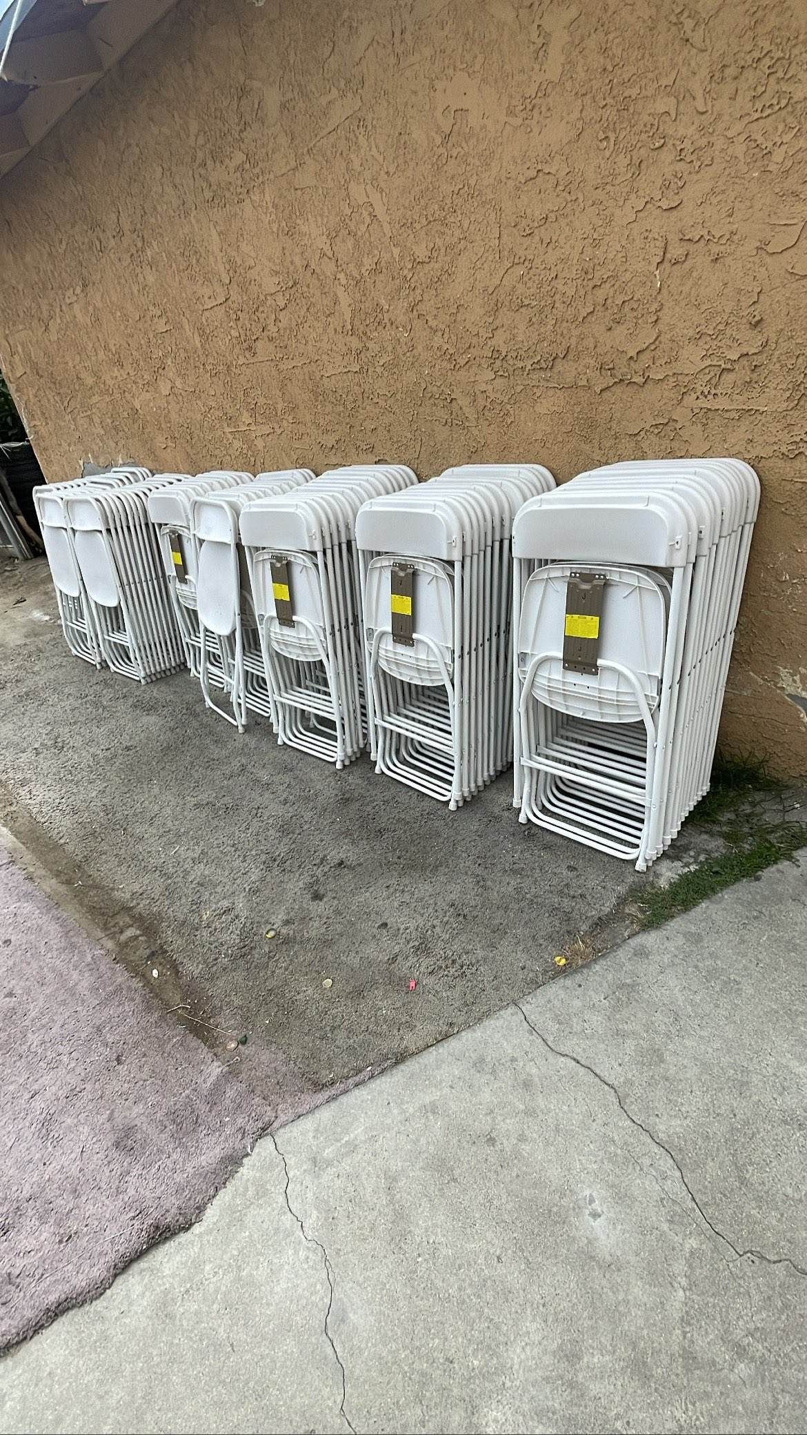 Disponibles Para Cualquier Evento