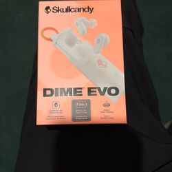 SkullCandy Dime Rvo