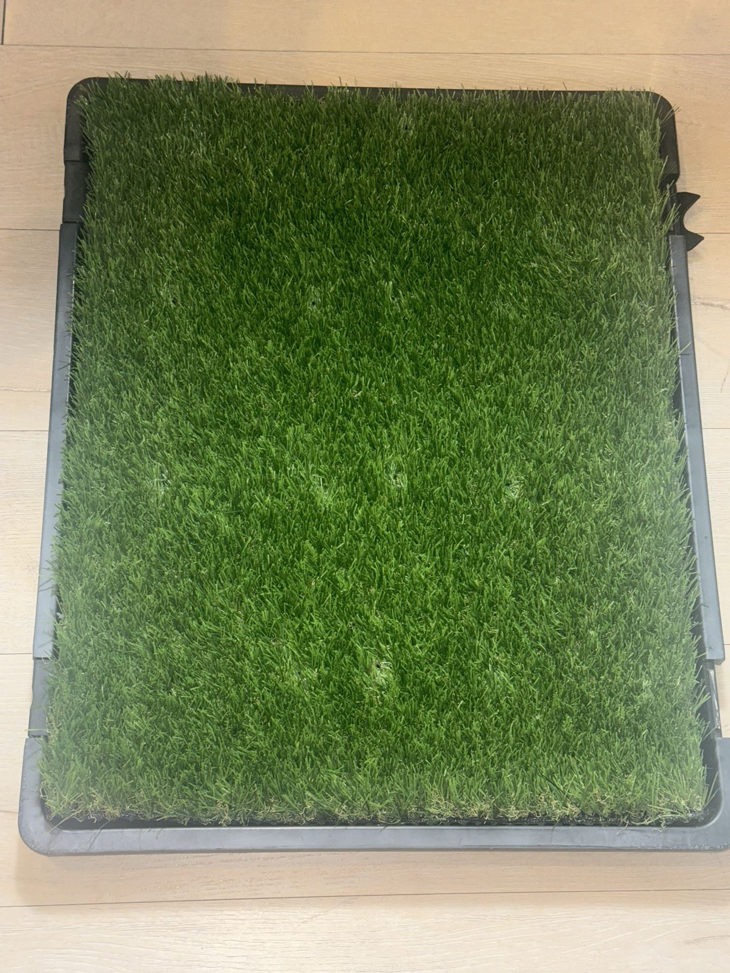 New Dog Grass, Artificial + Holder