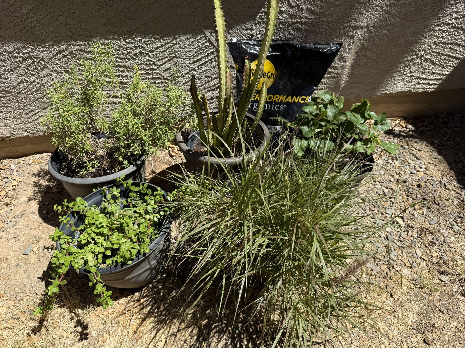 5 Large Resin Planter Pots + New Bag of Potting Soil