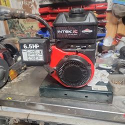 6.5 Briggs & Stratton 