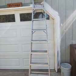 8 Foot Aluminum Leader 