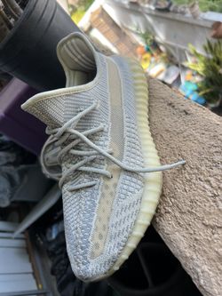 Yeezy Size 11