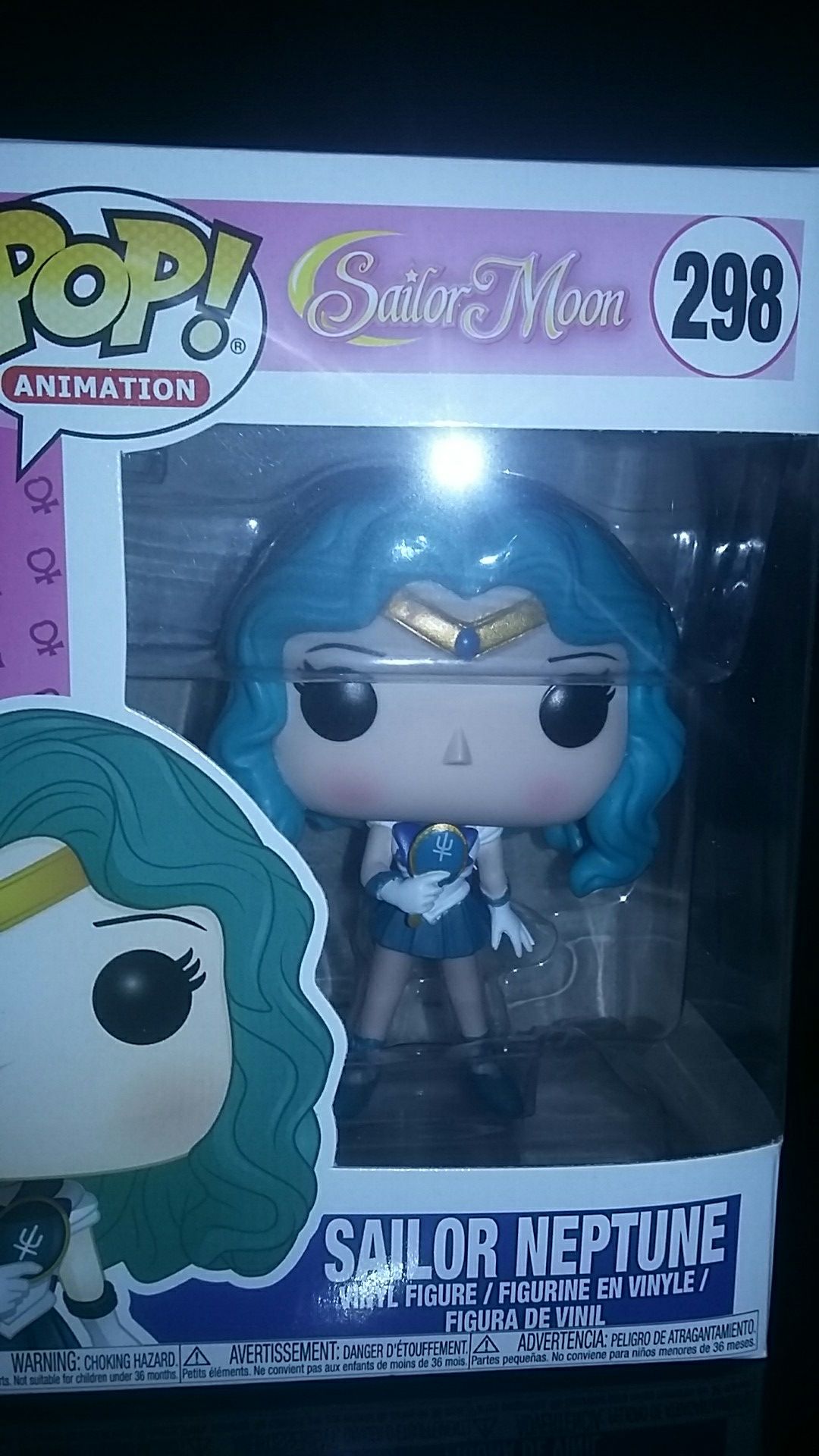 Sailor Neptune ( Sailor Moon )