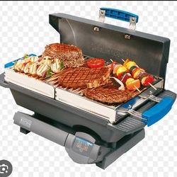 Woodflame BBQ Grill 