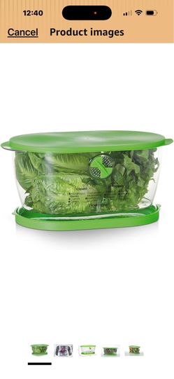 Prep Solutions by Progressive Lettuce Keeper Produce Storage Container, 4.7 Quarts, Green