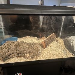 20 Gallon Tank