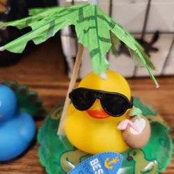 Ducks Littles Pet Shop, Bratz Dollas, Toys,Vintage, 